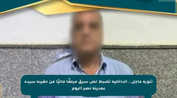 تنويه عاجل.. الداخلية تضبط لص سرق مبلغًا ماليًا من حقيبة سيدة بمدينة نصر اليوم